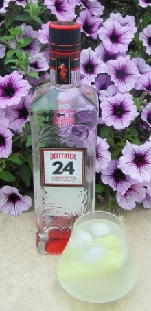 Beefeater 24 and T SAM_1250