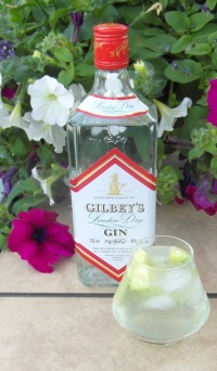 Gilbey's Gin and Tonic SAM_1577